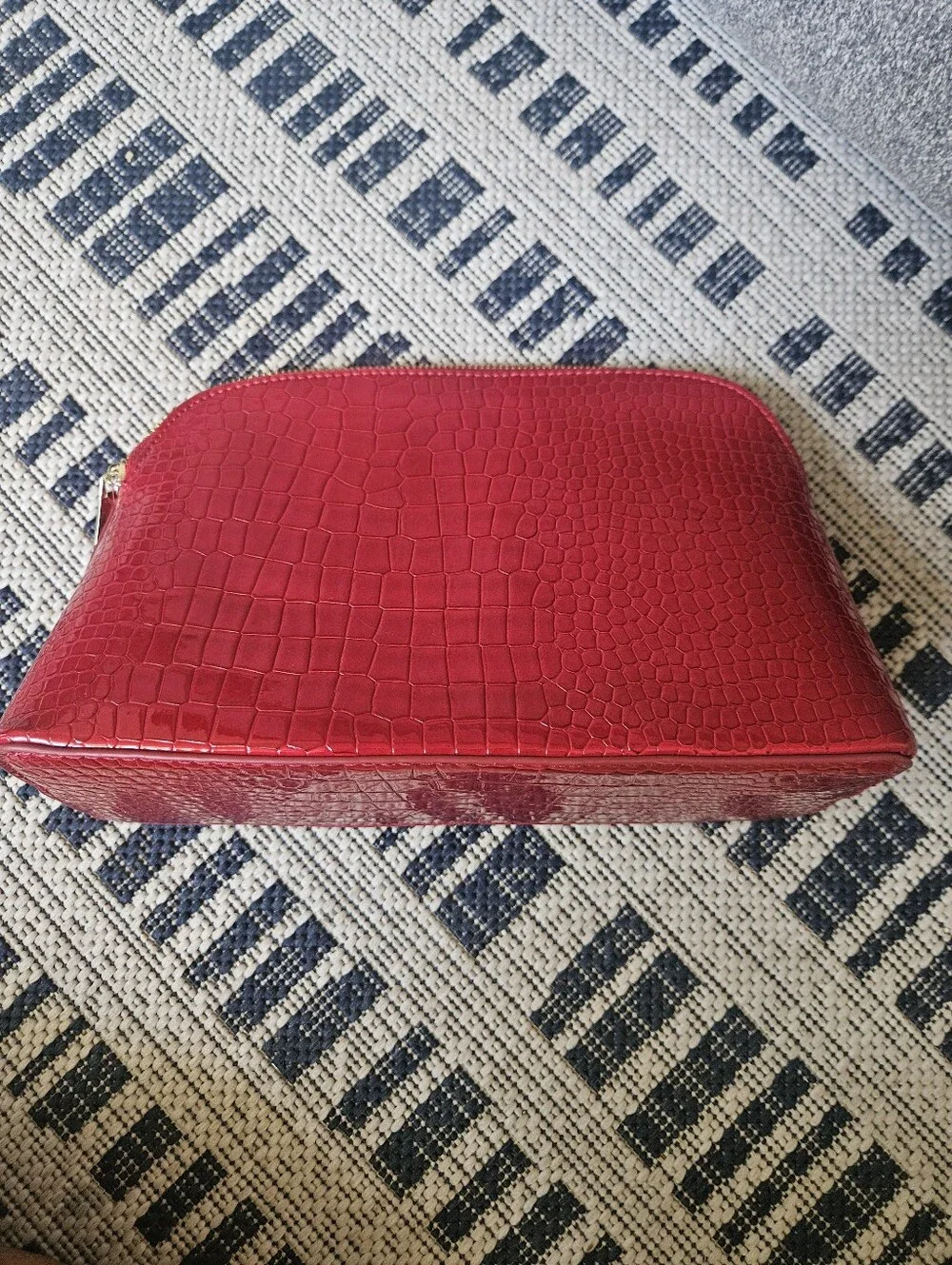 Euc Vanessa Williams Cosmetic Case
